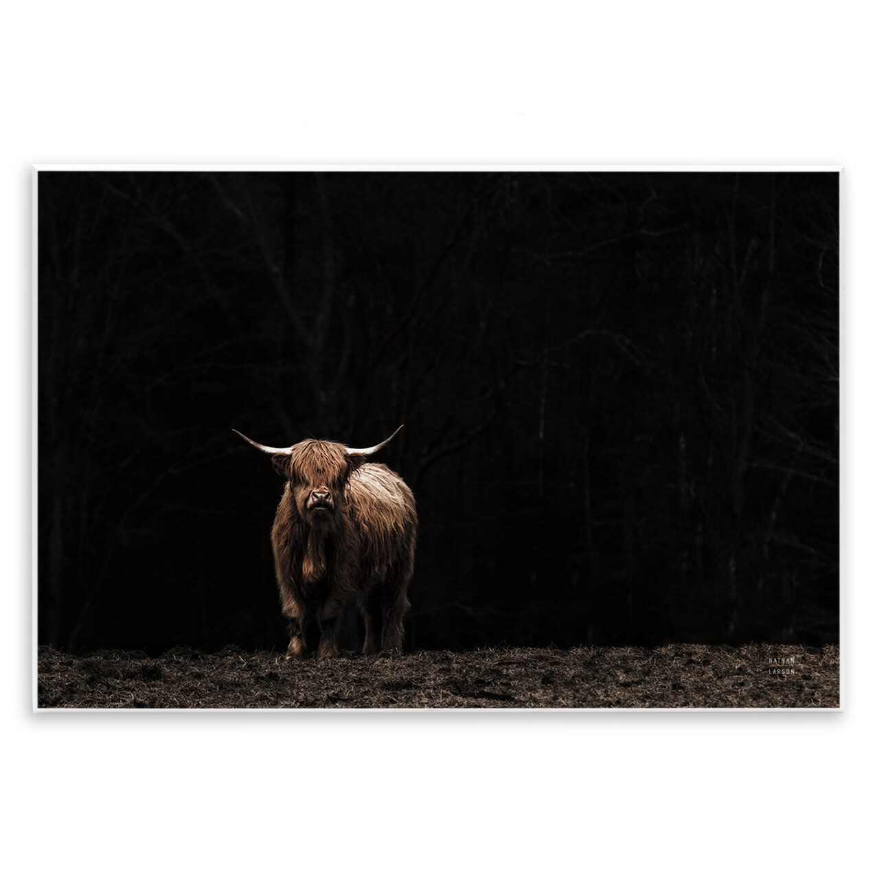 Stupell Industries Dark Contrast Highland Cow Wall Plaque Art Design by Nathan Larson